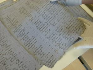Many of the records of the RSNH require conservation and repair.